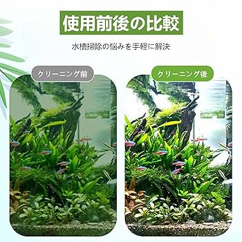 ★水槽★マリリン　KOBA'X おまけ付 ☆水槽☆マリリンKOBA'X おまけ付